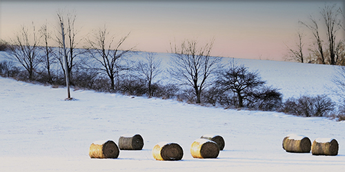 image of a hay bales in the snow by karen mitcheltree